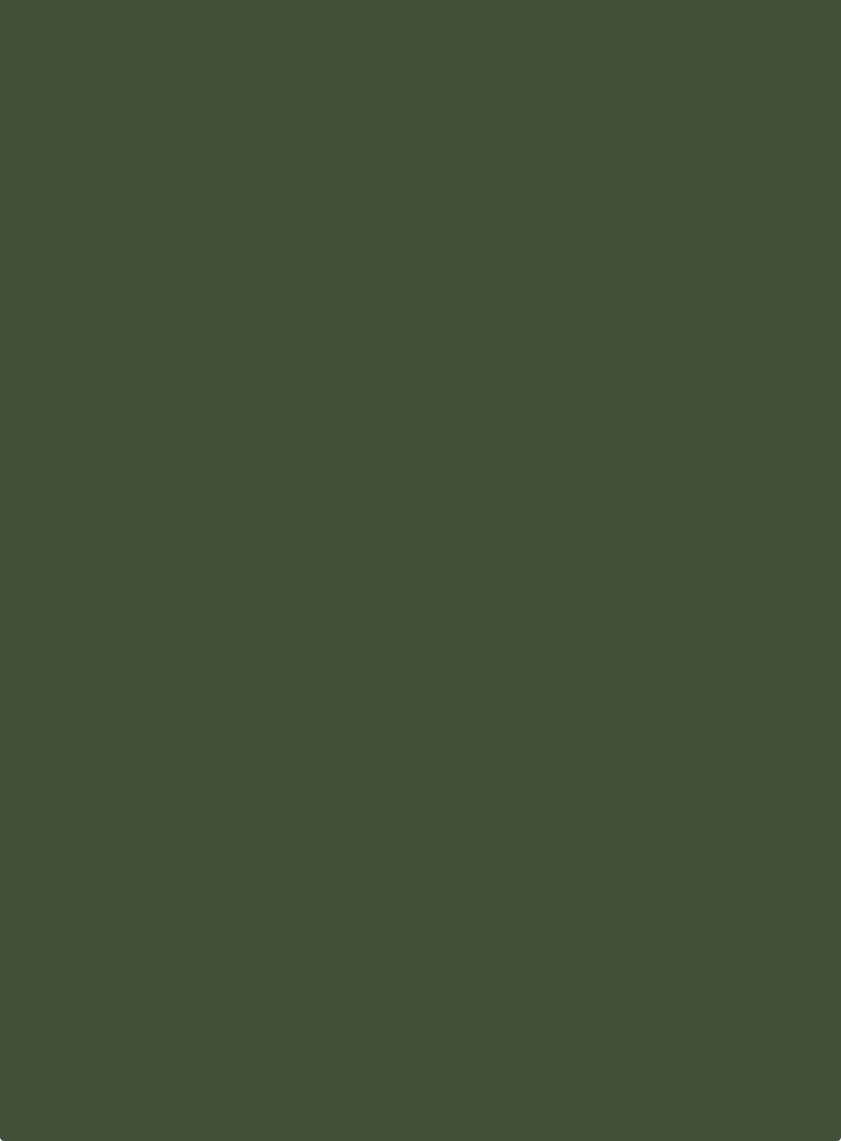 Preview da Imagem de Fundo